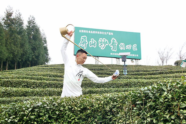新建茶园8600余亩宜宾屏山县推动茶产业发展助力乡村振兴_fororder_茶艺表演-摄影-何芳1