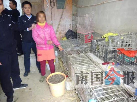 媒婆走村串巷顺手牵羊 4个月内盗得鸡鸭兔300多只