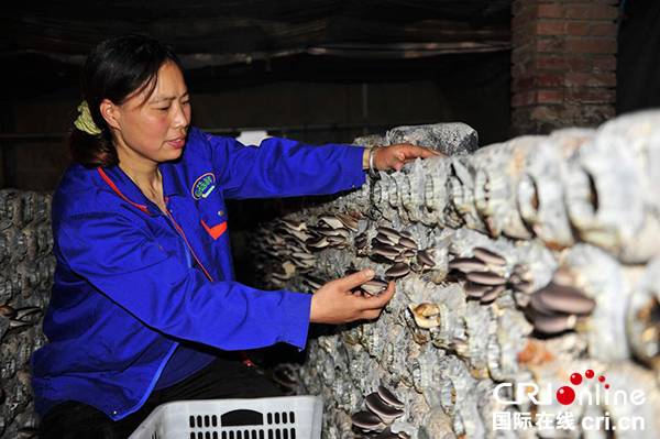 图片默认标题_fororder__56fbd1025a9c194f