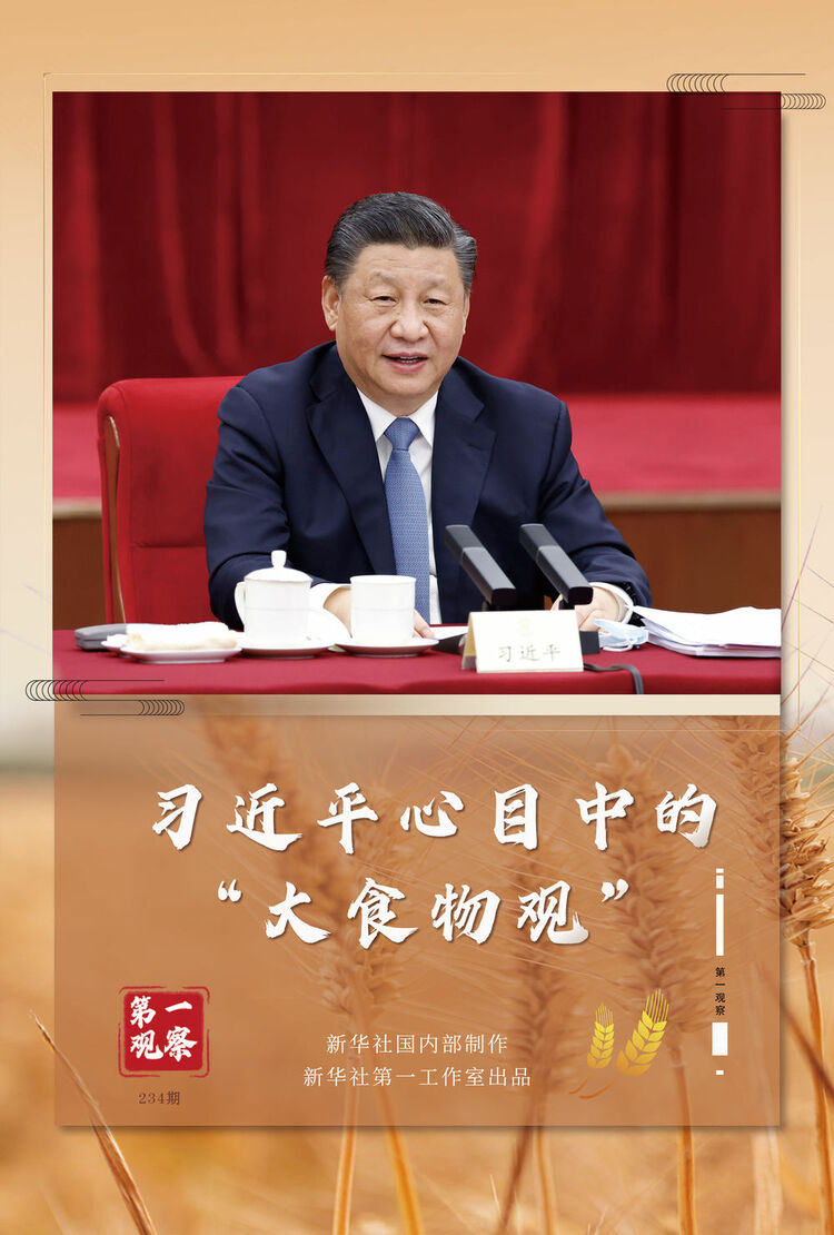 第一观察|春天的见证——总书记2022年“两会时间”