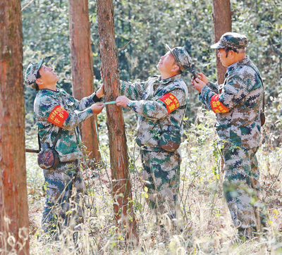 齐抓共管 守住青山林长绿 齐抓共管 守住青山林长绿_fororder_5