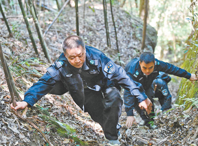 齐抓共管 守住青山林长绿 齐抓共管 守住青山林长绿_fororder_22