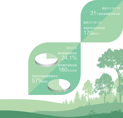 齐抓共管 守住青山林长绿 齐抓共管 守住青山林长绿_fororder_7