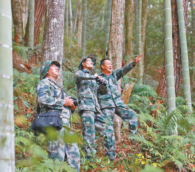 齐抓共管 守住青山林长绿 齐抓共管 守住青山林长绿_fororder_33