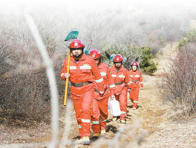 齐抓共管 守住青山林长绿 齐抓共管 守住青山林长绿_fororder_6