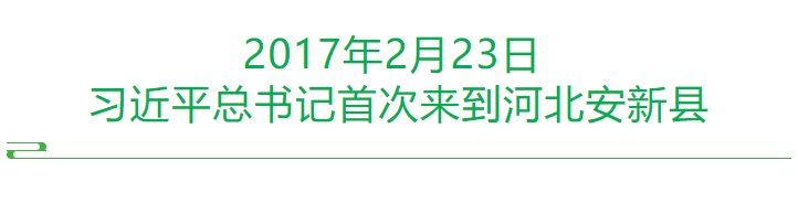 春润雄安 | 看未来之城正“生长”