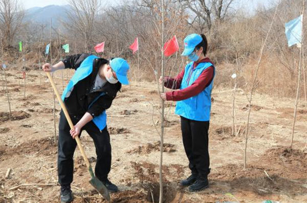 植绿逐梦建证未来中建八局二公司北京公司组织开展植树节主题团日活动