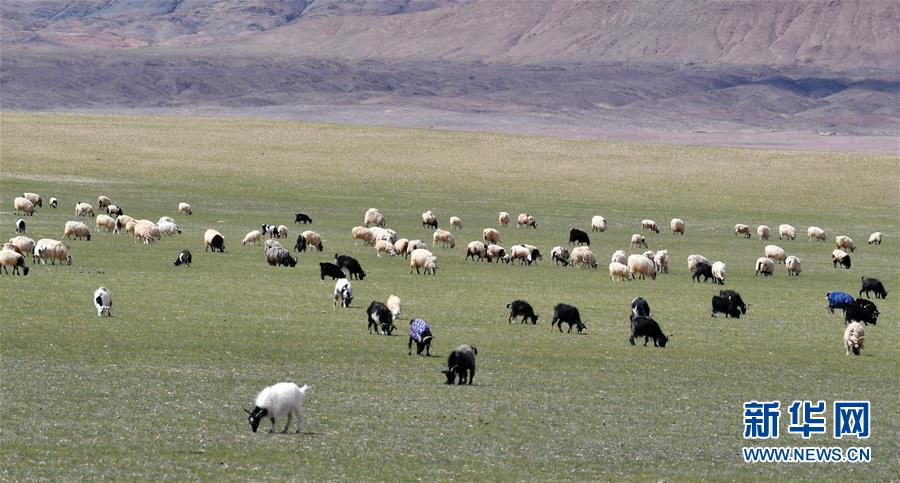 西藏羌塘风光美 西藏羌塘风光美