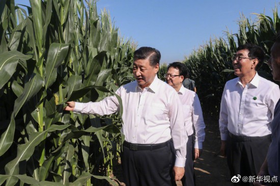 Xi Jinping’in gıda güvenliği kavramı_fororder_粮食4