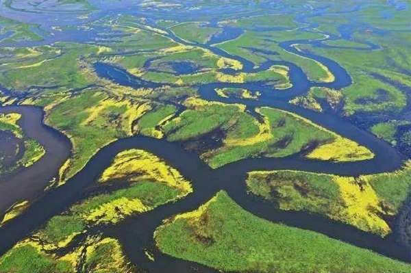 黑龙江挠力河国家级自然保护区与5个省级自然保护区发布“珍爱湿地”联合倡议