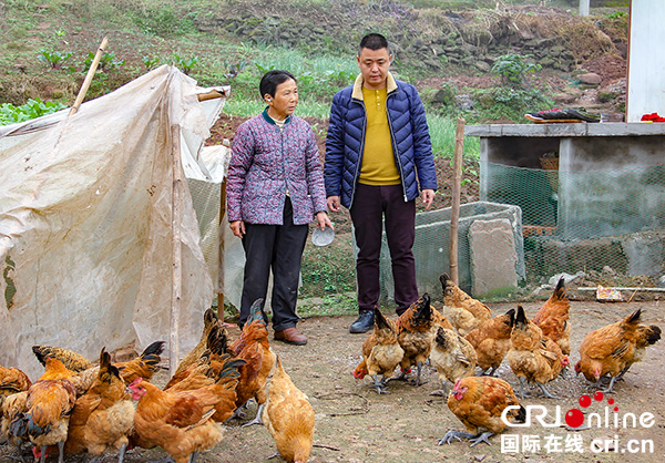 图片默认标题_fororder_王治国在万伦芳家了解产业发展情况