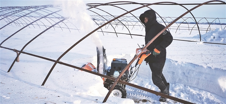 抚远：快清雪 早扣棚 备春耕