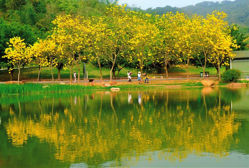 广西:挥手告别降雨 晴天再度上线