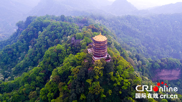 图片默认标题_fororder_3