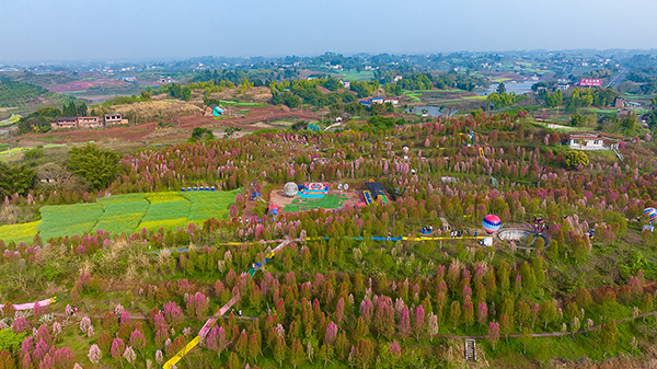 自贡富顺:农旅融合助发展 打造休闲娱乐后花园_fororder_1板桥镇千秋村桃花园(摄影-廖志全)