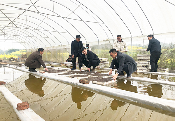 自贡富顺:做好两项改革“后半篇”文章 守牢粮食安全底线_fororder_漂浮育苗