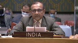印度常驻联合国代表：俄乌冲突只能通过外交途径来解决