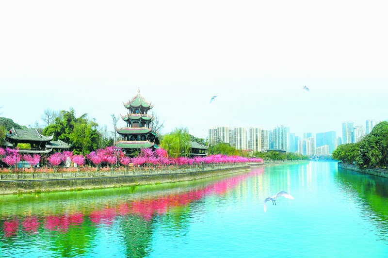 (中首)夜游锦江上新日航航线 乘船看800米梅花长廊_fororder_996fa70d-2f1d-4745-bf43-452b22e4c623