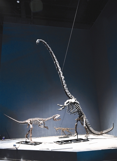 （中首）为“恐龙”筑新家 成都自然博物馆预计今年六月整体完工