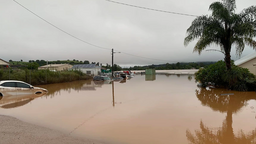 澳大利亚强降雨持续 已造成至少12人死亡