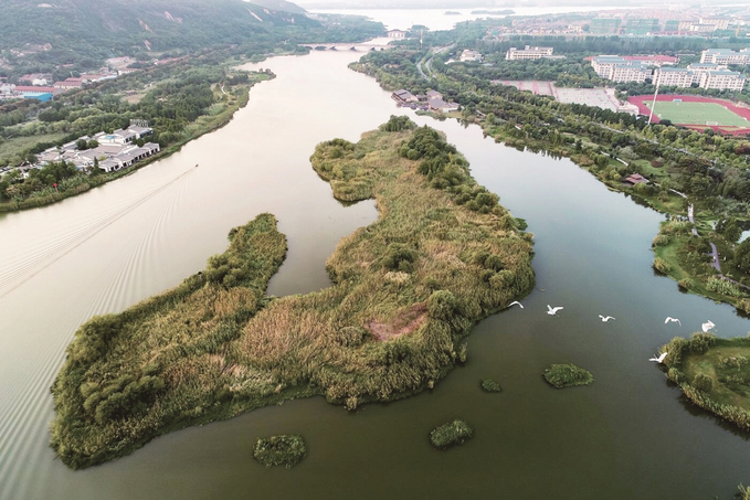 江苏：节约保护地下水 复苏河湖生态环境