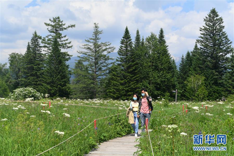 长白山：高山花海