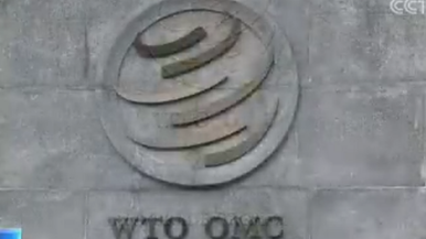 世贸组织新总干事提名结束8人参与角逐