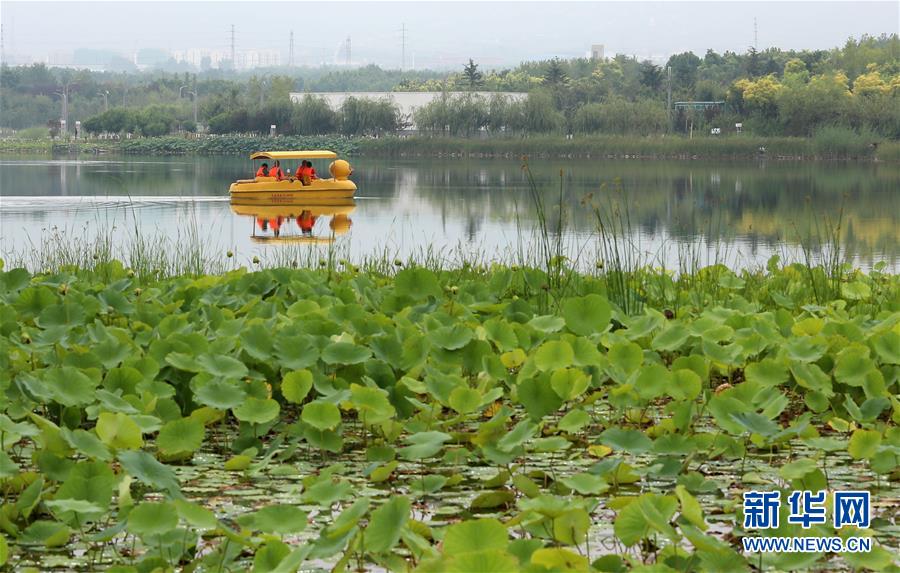 石家庄：昔日垃圾场变身城市“绿色氧吧”