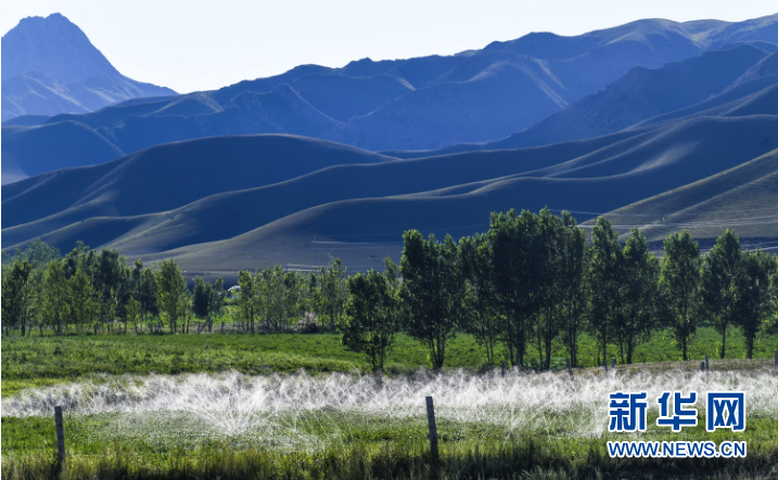 盛夏之际：新疆进入最美“绿”季