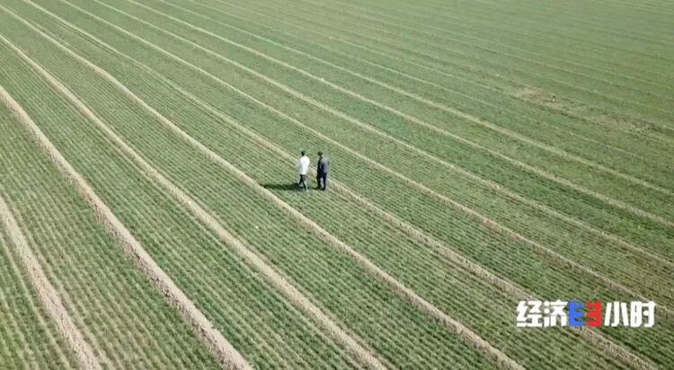 补贴超18亿元!国家出手→