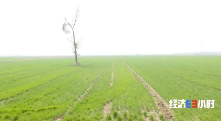 补贴超18亿元!国家出手→