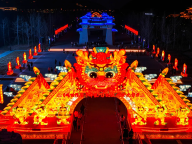 Online and Offline Boost in the Year of the Tiger, Splendid “Cultural and Tourism Feast” Adds to the New Year's Atmosphere