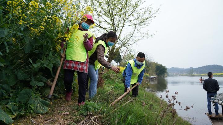重庆公布64个义务植树基地