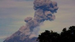 危地马拉富埃戈火山近期活动剧烈 150人被疏散