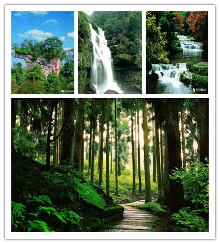 图片默认标题_fororder_4