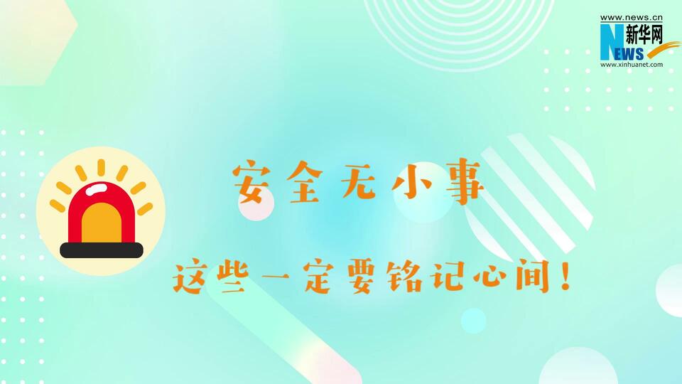 全国中小学生安全教育日做自己的安全小卫士