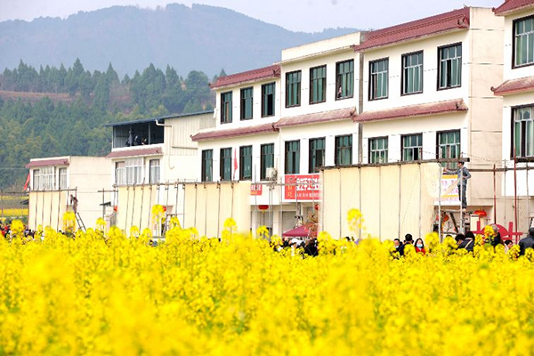 德阳中江:以花为媒 “中江挂面”焕发新生机_fororder_QQ图片20220309103526