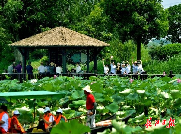 第二届武汉乡村旅游节5万人成功预约免费门票