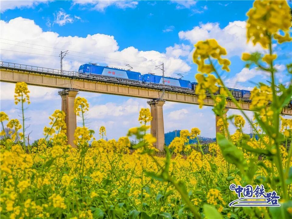 火车穿过油菜花海网友春日里的中国太美了