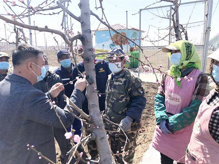 淄博：专家田间“授课” 农民地头“取经”_fororder_全景图-李昱 摄