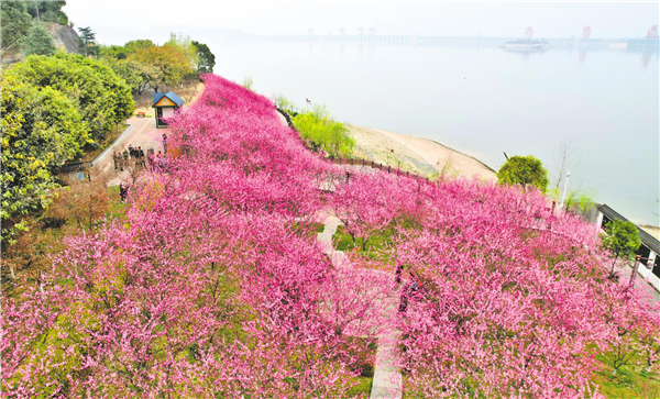 高峡平湖花争艳_fororder_01