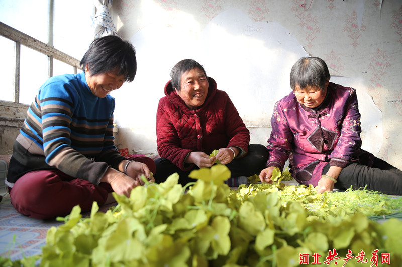 河北迁安:手工绢花扎出多彩幸福路