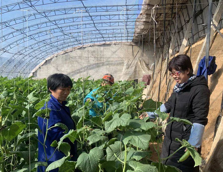 河北省各地全力保障农用物资和农机设备 支持春耕生产