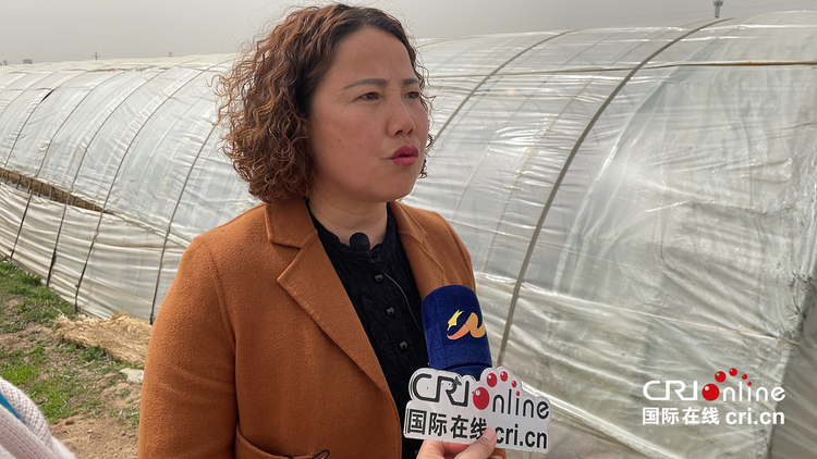 国网渭南供电公司:春耕备耕忙 电力添动力_fororder_2