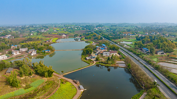 自贡富顺:农旅融合助发展 打造休闲娱乐后花园_fororder_5千秋村水产养殖基地(摄影-廖志全)