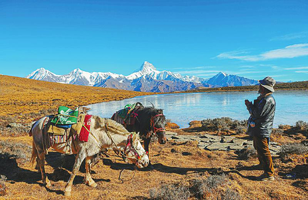 图片默认标题_fororder_4