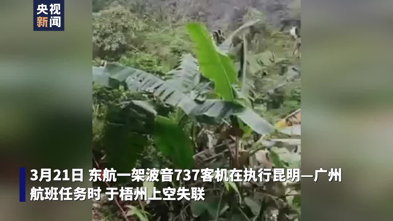 滚动丨现场视频东航波音737飞机坠毁现场救援已经开始