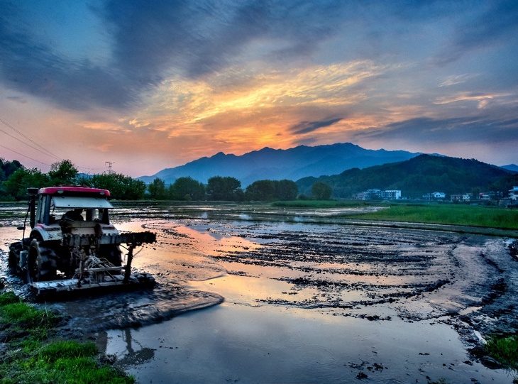 មិនធ្វើឱ្យខកខានរដូវកាលដាំដុះ មិនខ្ជះខ្ជាយពេលវេលានៃរដូវផ្ការីក_fororder_2