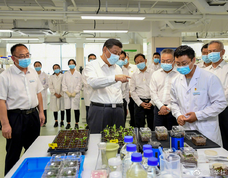 លោក Xi Jinping ៖ មានតែក្តាប់ជាប់គ្រាប់ពូជរបស់ខ្លួនក្នុងដៃខ្លួន ឯងទើបអាចធានាសន្តិសុខស្បៀងអាហាររបស់ប្រទេសចិន_fororder_1128549032_16496503955281n