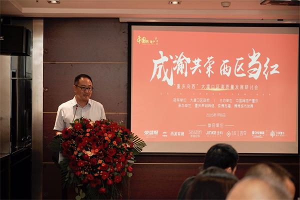 重庆：政企学界大咖“拍了拍”大渡口 论道区域高质量发展